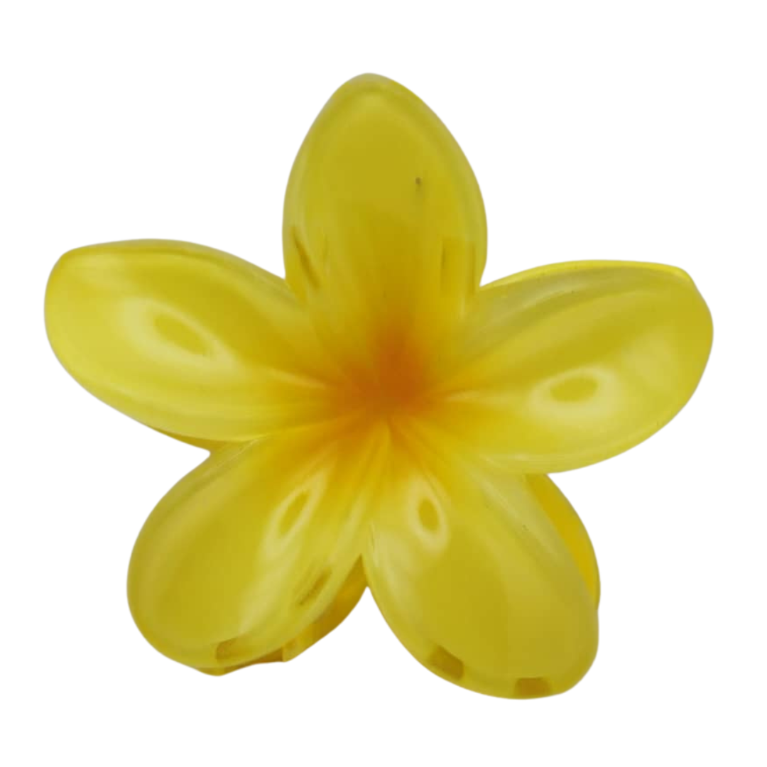 Pince à cheveux fleur en résine Diverses couleurs