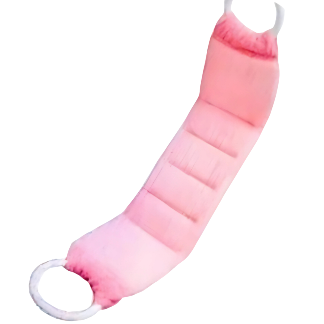 Eponge exfoliante dorsale avec poignées 19 x 4,5 _1 Pièce _ Diverses Couleurs